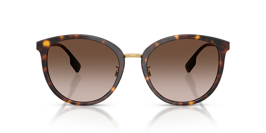 Burberry BE4289D XL (56 - 20) with Brown lenses and Brown frame