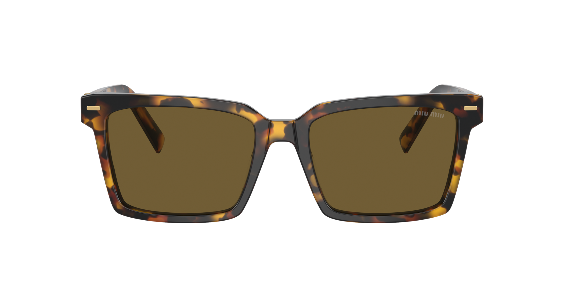 Miu Miu MU 13ZS M (55 - 18) with Brown lenses and Tortoise frame