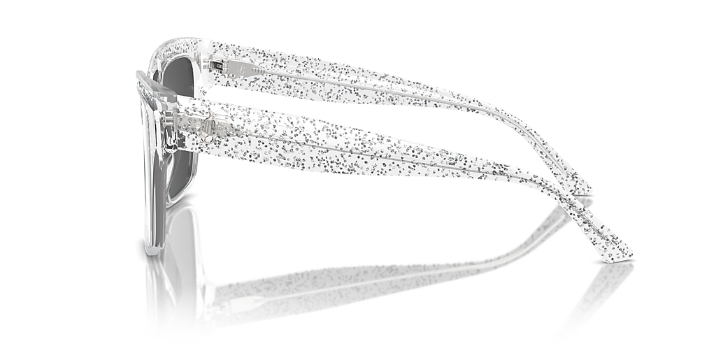 Jimmy Choo JC5003 M (55 - 16) with Silver lenses and Transparent