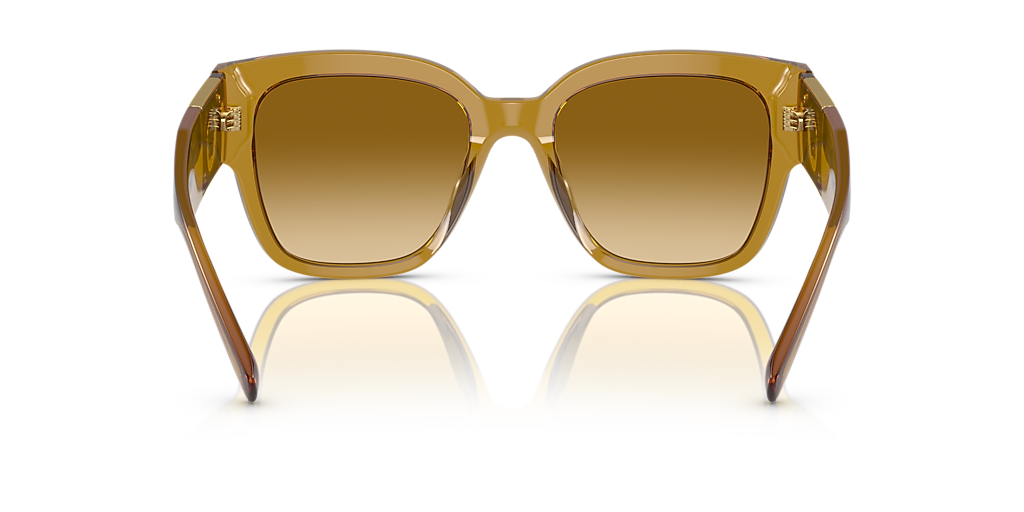 Versace VE4437U M (54 - 20) with Brown lenses and Gold frame