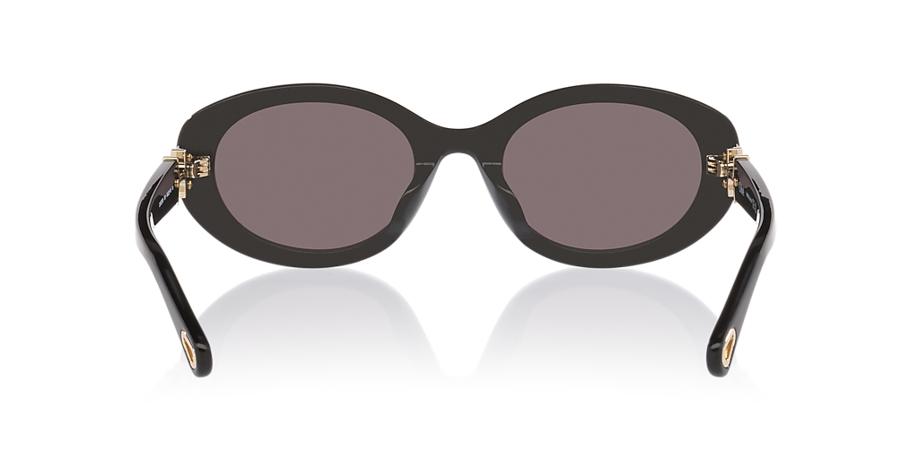 Chloé CH0323SK L (54 - 22) with Grey lenses and Black frame
