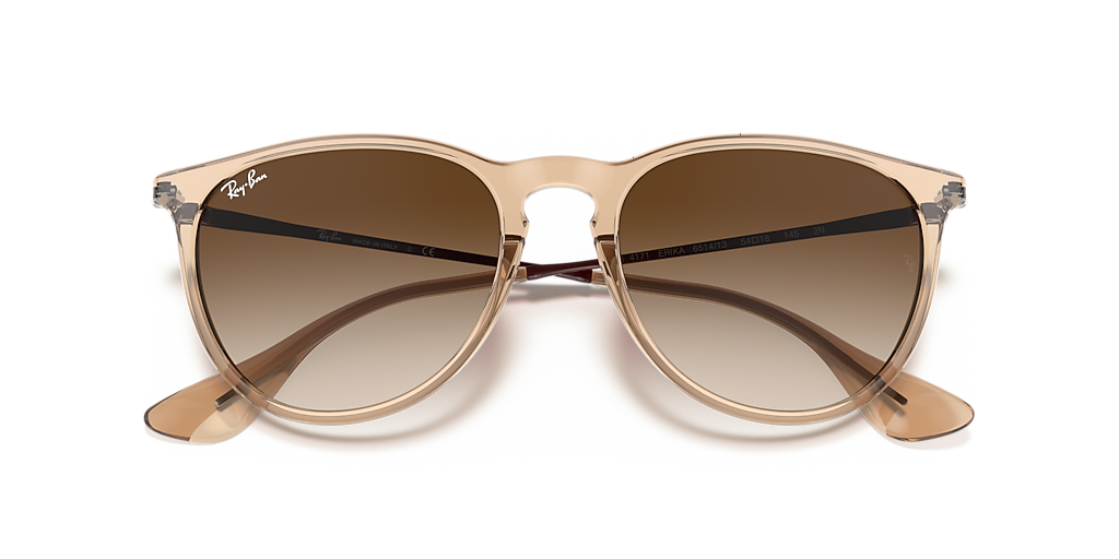 Ray-Ban Erika Color Mix M (54 - 18) with Brown lenses and Brown