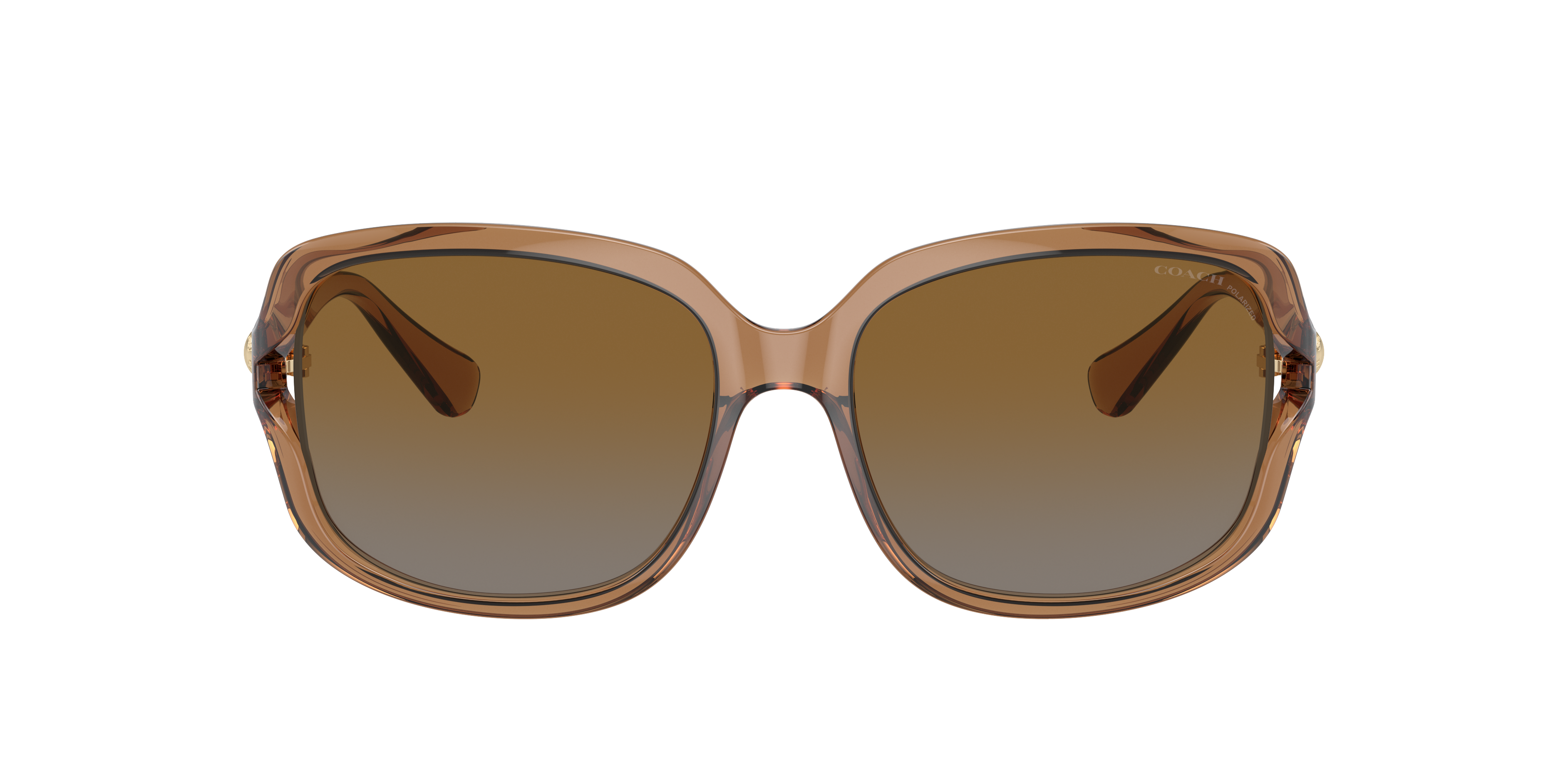 Coach L149 S (57 - 16) with Brown lenses and Brown frame