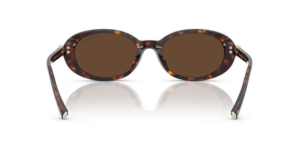 Tiffany & Co. TF4242D XXL (54 - 19) with Brown lenses and Tortoise