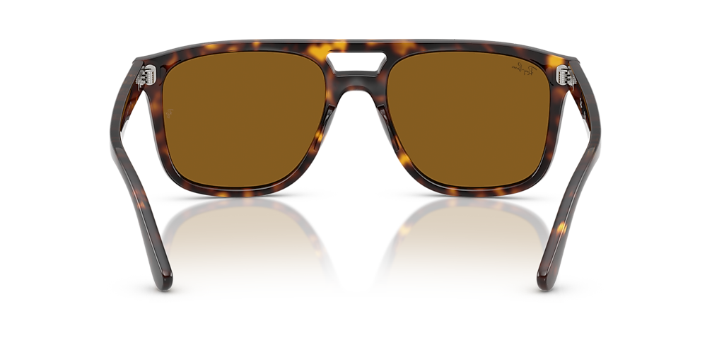 Ray-Ban RB2213 L (55 - 20) with Brown lenses and Tortoise frame
