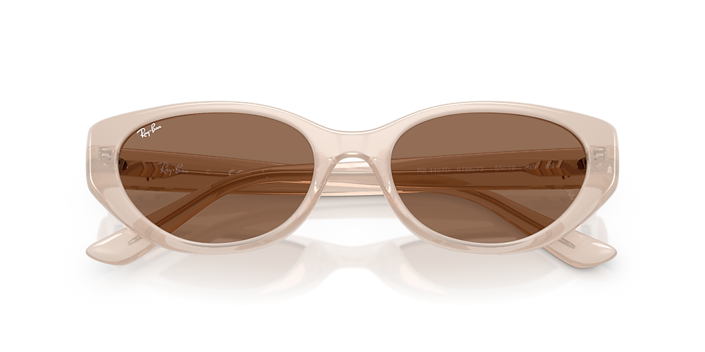 Ray-Ban RB4457D Bio-Based L (55 - 19) with Brown lenses and Brown