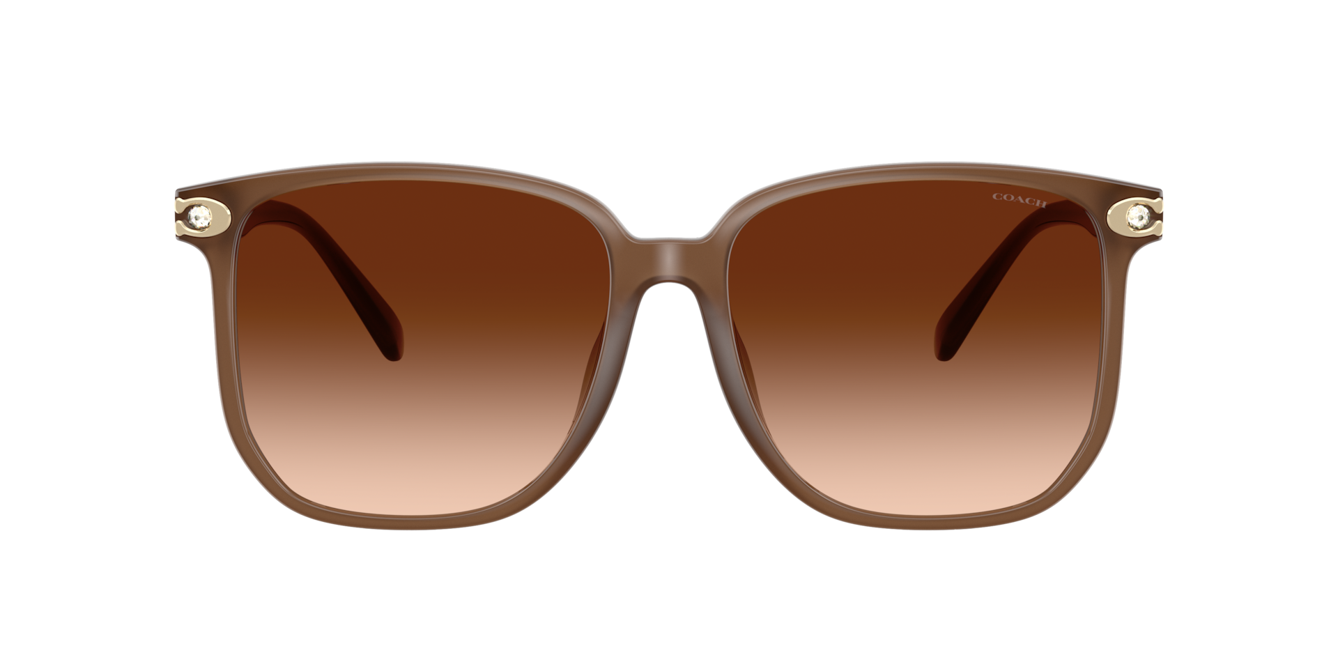 Coach CW419 XL (58 - 16) with Brown lenses and Brown frame