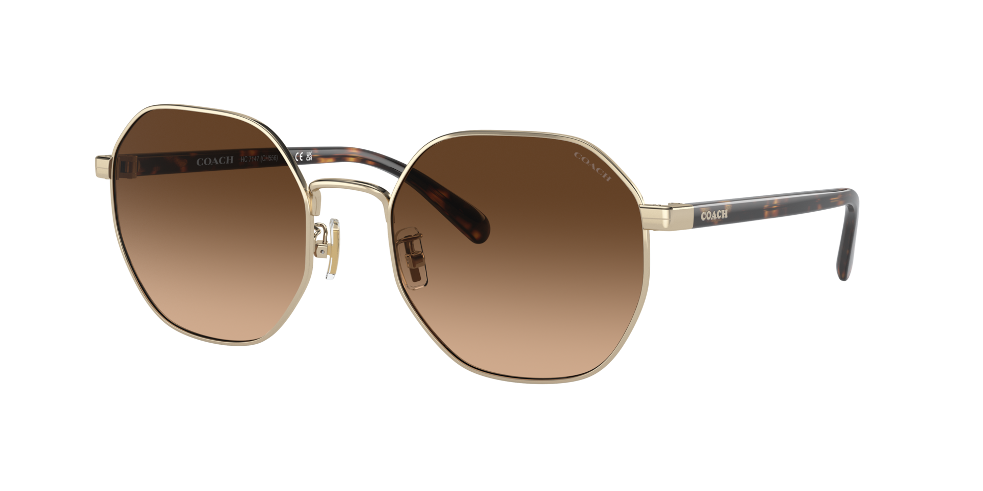 Coach Femme Sunglass CH556 - Couleur du Monture Or clair brillant Couleur de Lentille Dgrad marron 66 €