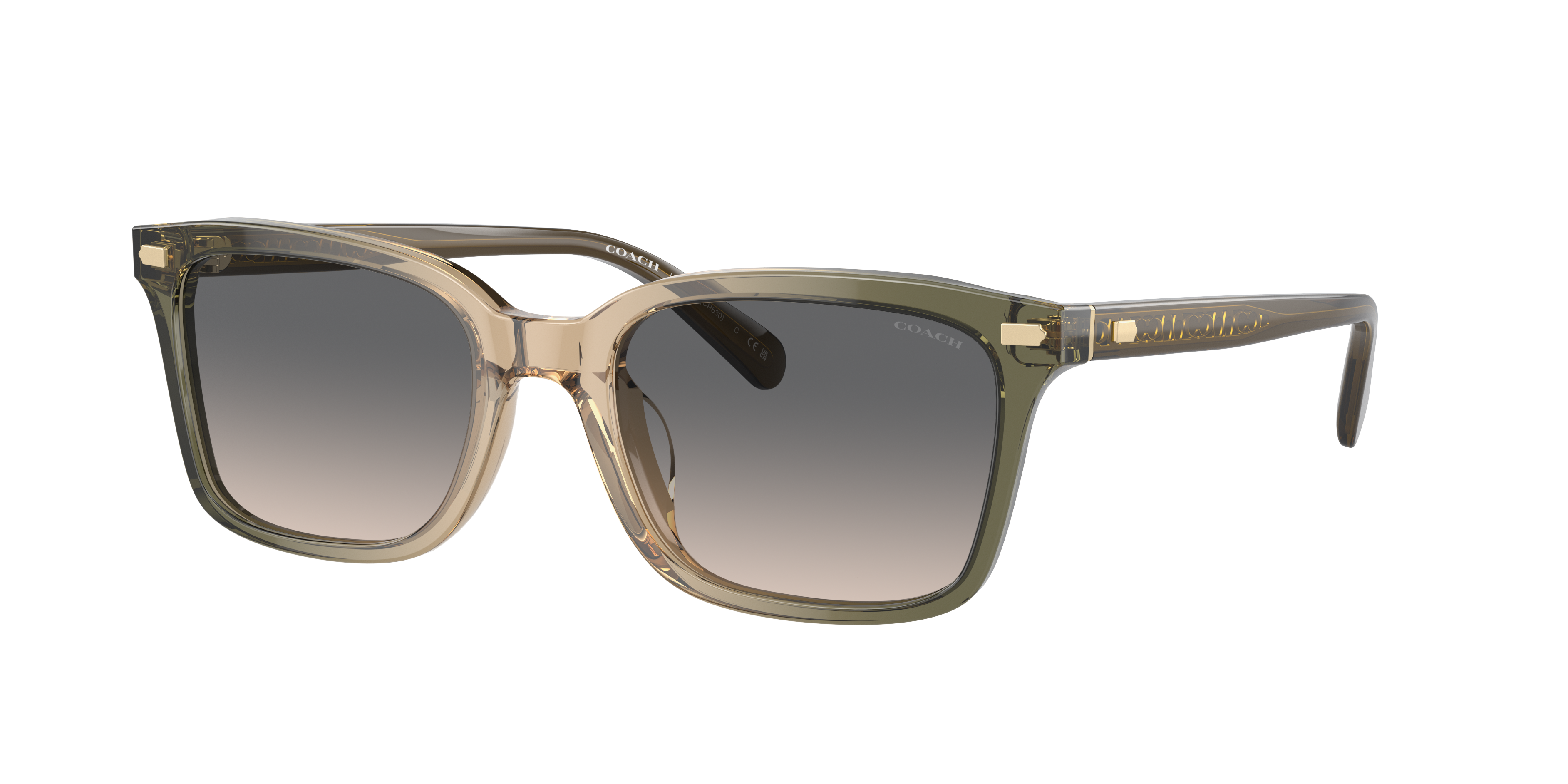 Coach Man Sunglass CR630 -  Frame color: Olive Tan Gradient, Lens color: Green Sand
