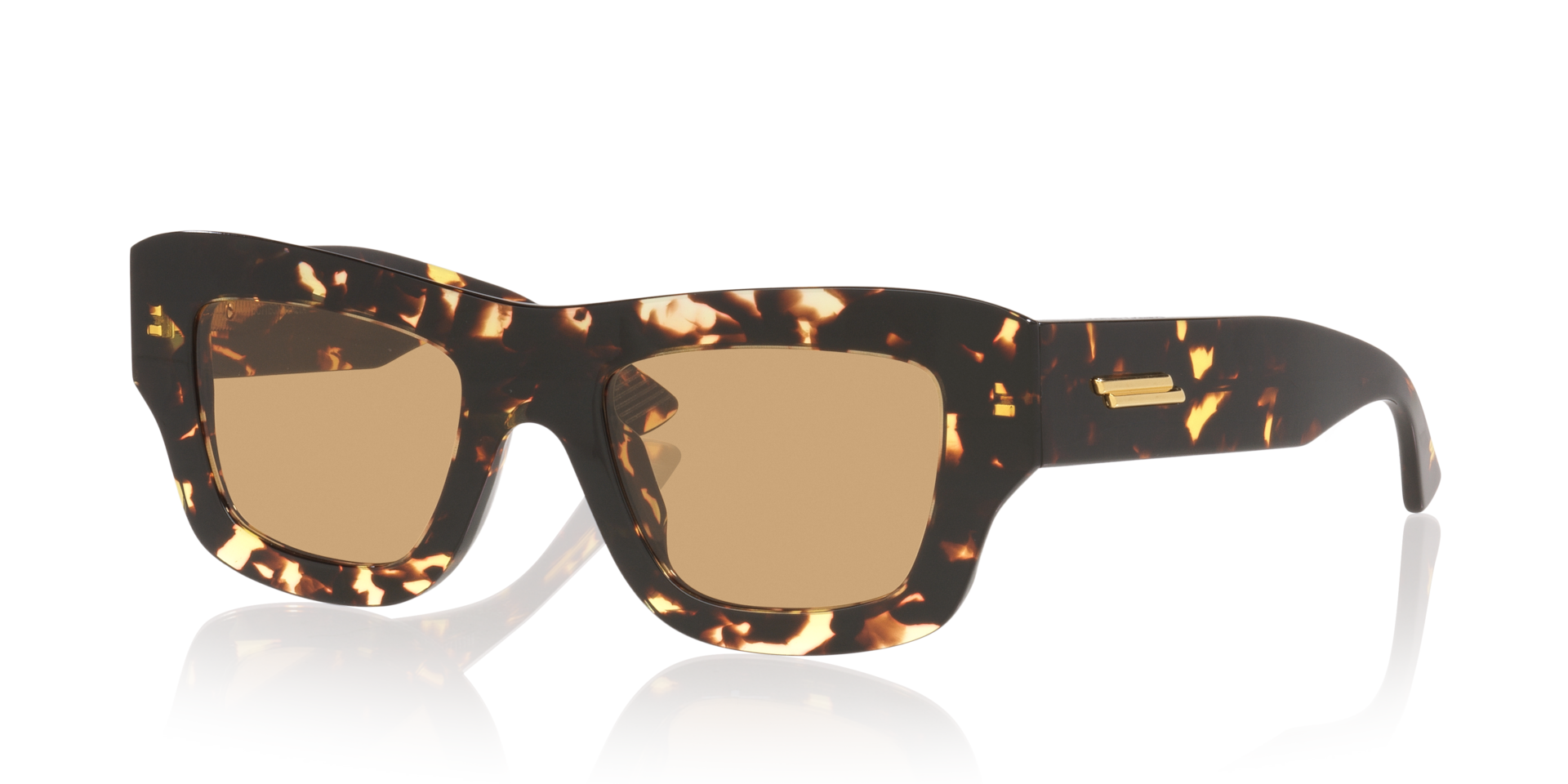 Bottega Veneta BV1357S L (50 - 21) with Brown lenses and Tortoise