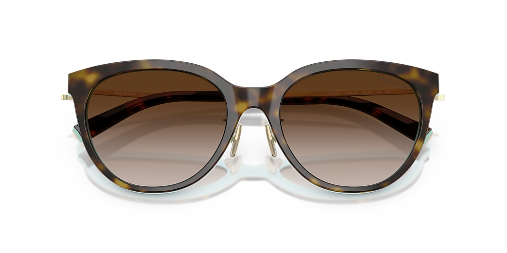 Tiffany & Co. TF4243D XL (55 - 19) with Brown lenses and Brown