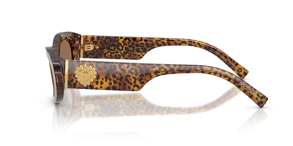 Dolce&Gabbana DG4537 S (53 - 19) with Brown lenses and Brown frame