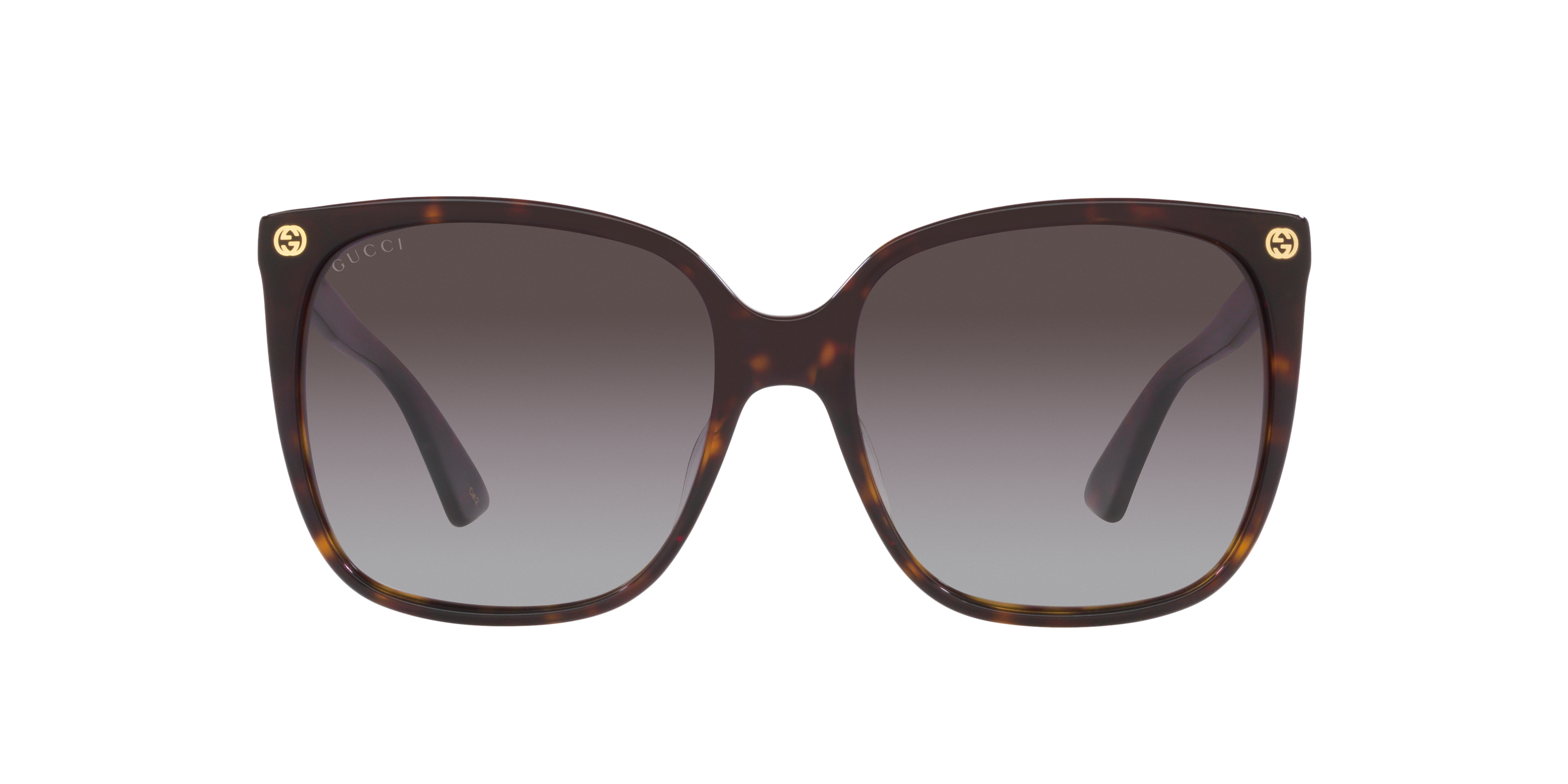 Gucci GG0022S L (57 - 18) with Brown lenses and Tortoise frame