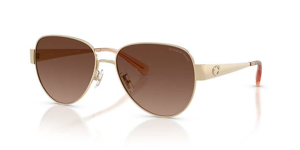 su680 COACH コーチ ケイディ ペール ブラッシュ サンレイダイヤル Coach CDP37 L (57 - 16) with Brown lenses and Gold frame