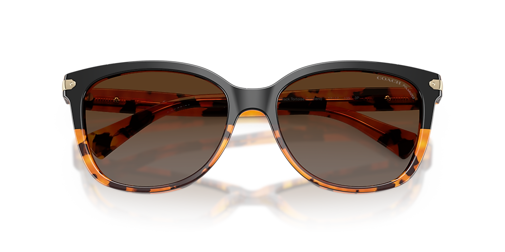 Coach L109 L (57 - 17) with Brown lenses and Tortoise frame  display picture 3