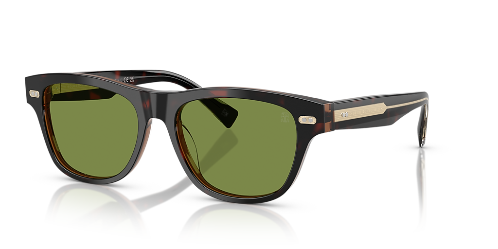 Brunello Cucinelli BC3005S L (54 - 17) with Green lenses and