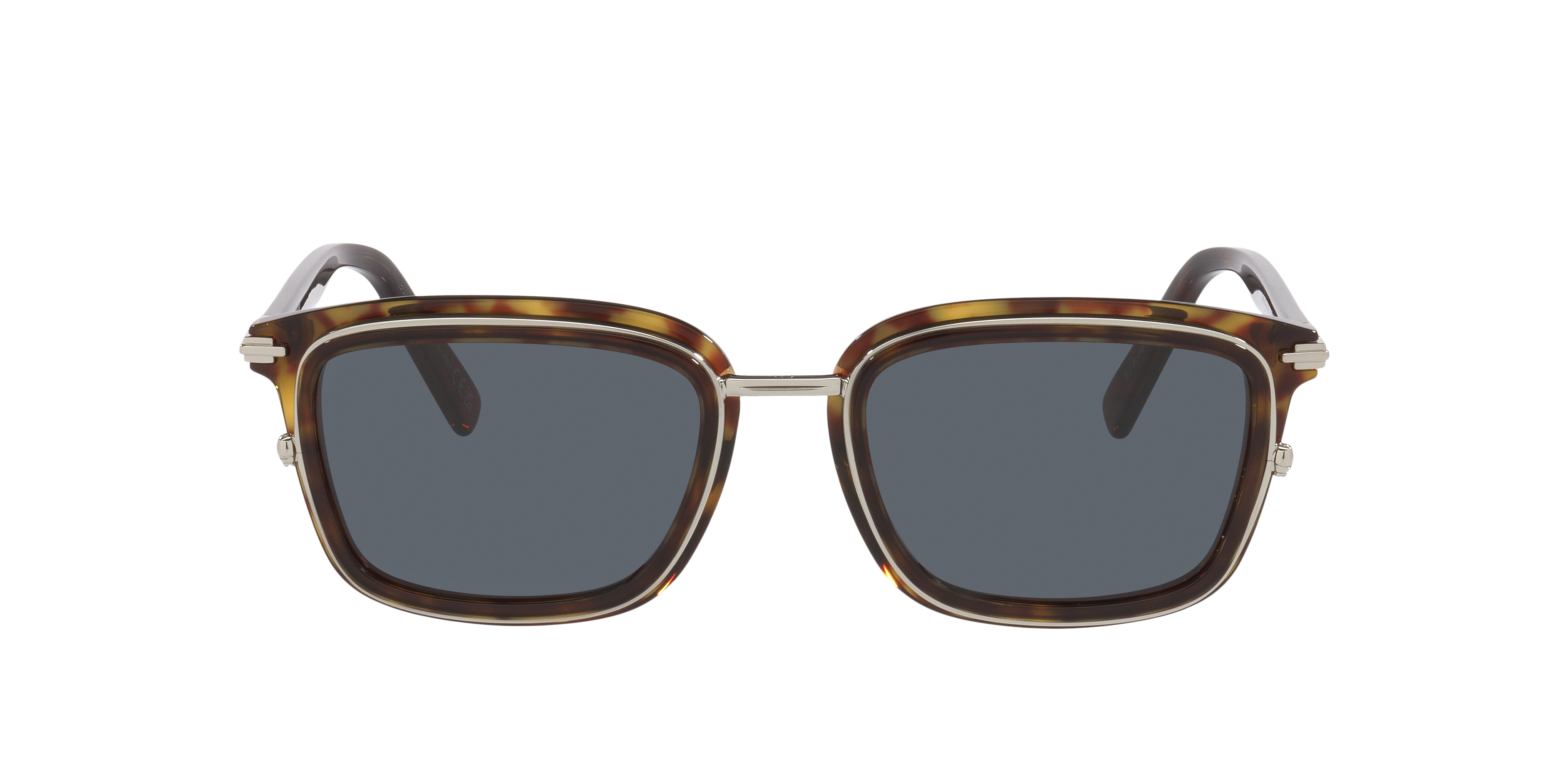 DIOR Diorblacksuit S18U S (53 - 20) with Green lenses and Tortoise