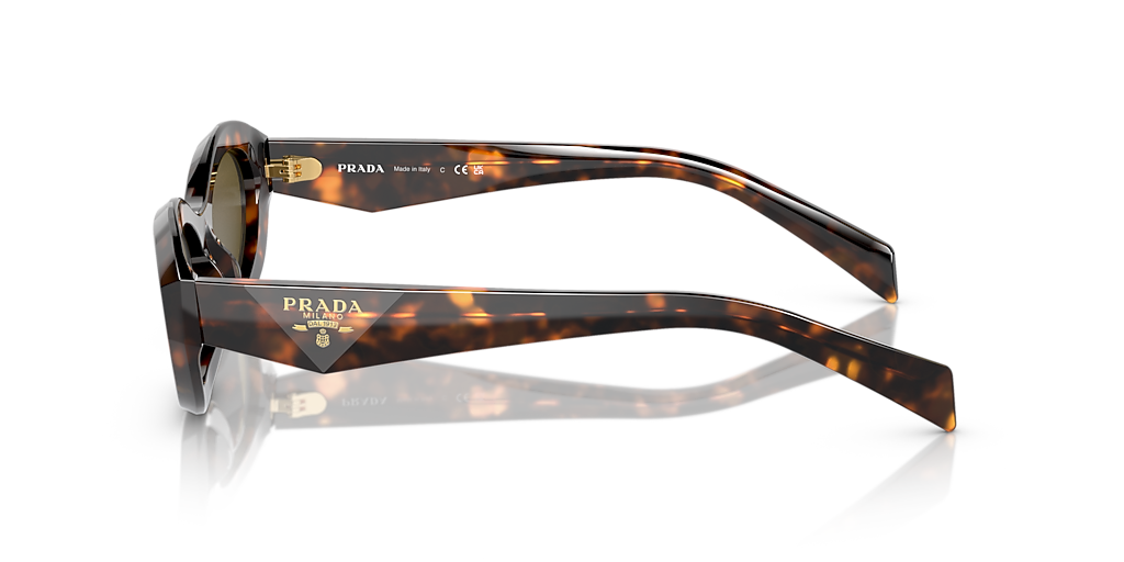 Prada PR 26ZSF L (56 - 15) with Brown lenses and Green frame