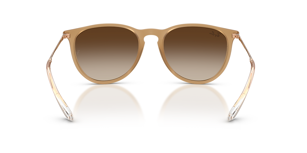 Ray-Ban Erika Classic M (54 - 18) with Brown lenses and Brown