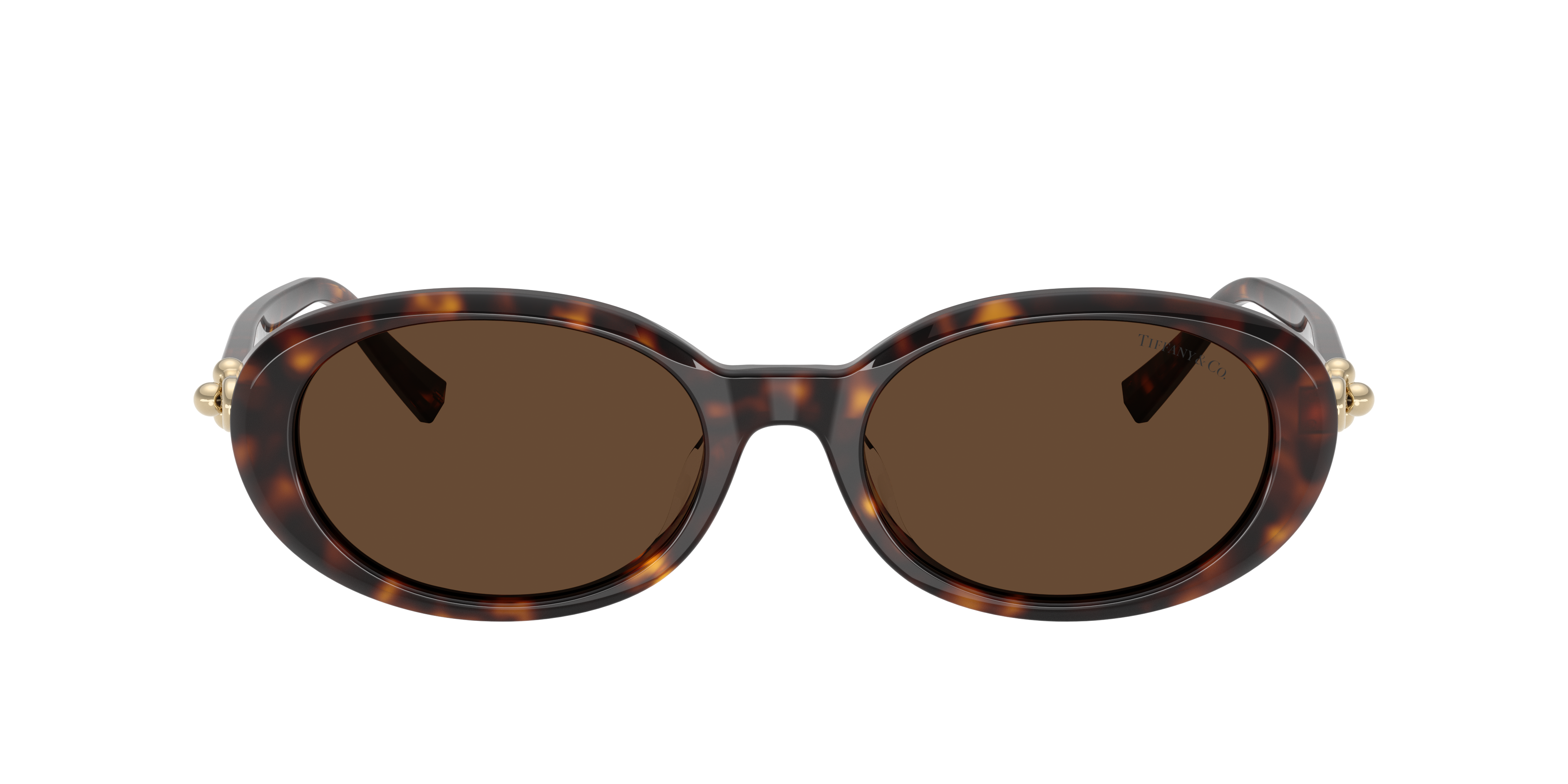 Tiffany & Co. TF4242D XXL (54 - 19) with Brown lenses and Tortoise