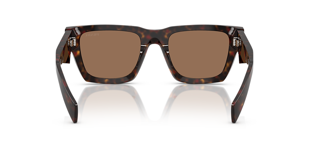 ペリオプティクス Perioptix 2.5倍 パノラミックルーペ　アディダス Prada PR A06S M (50 - 21) with Brown lenses and Tortoise frame