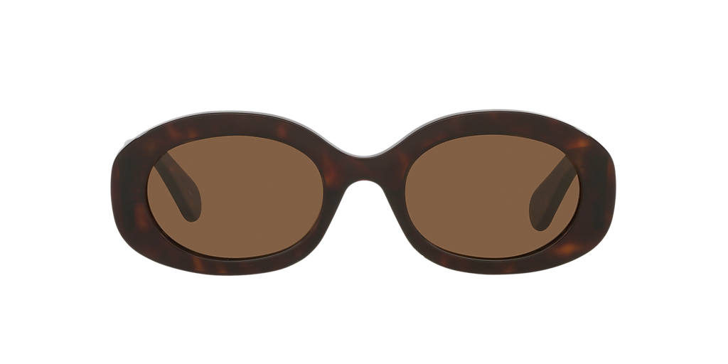Chloé CH0258S S (53 - 22) with Brown lenses and Tortoise  display picture 1