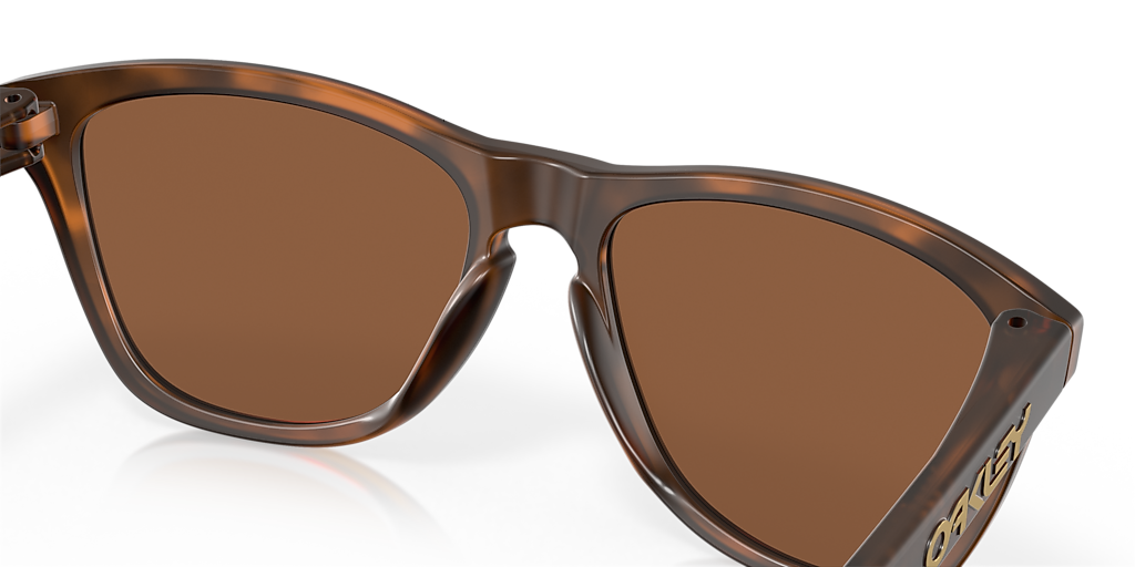Oakley Frogskins™ XL (55 - 17) with Brown lenses and Tortoise