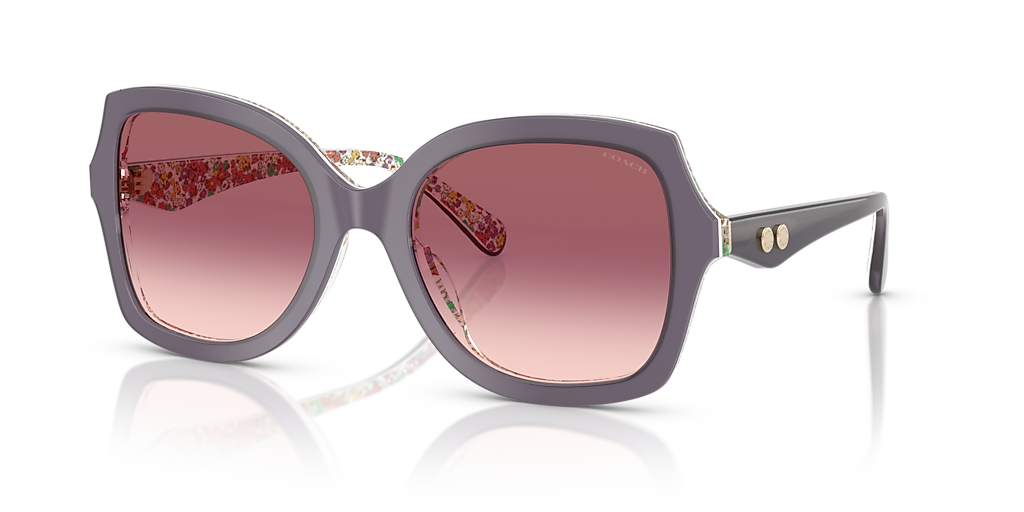 Coach CW225 XL (56 - 21) with Violet lenses and Violet frame  display picture 2