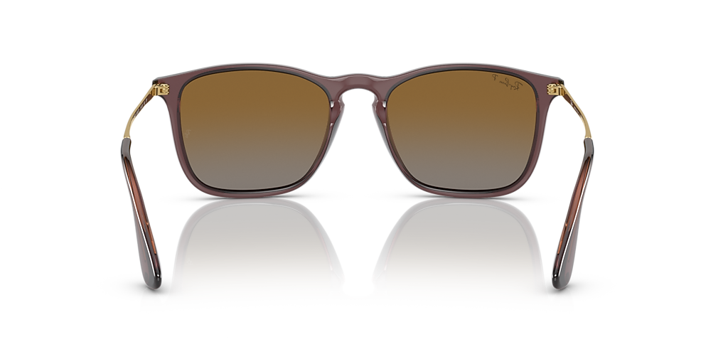 Ray-Ban Chris M (54 - 18) with Brown lenses and Brown frame