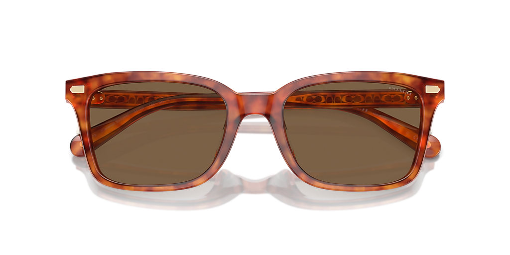 Coach HC8398U CR630 M (54 - 20) with Brown lenses and Tortoise