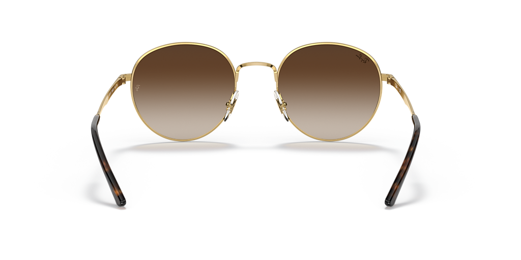 Ray-Ban RB3681 S (50 - 20) with Brown lenses and Gold frame