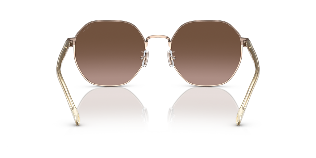 Coach CH556 L (56 - 20) with Brown lenses and Gold frame