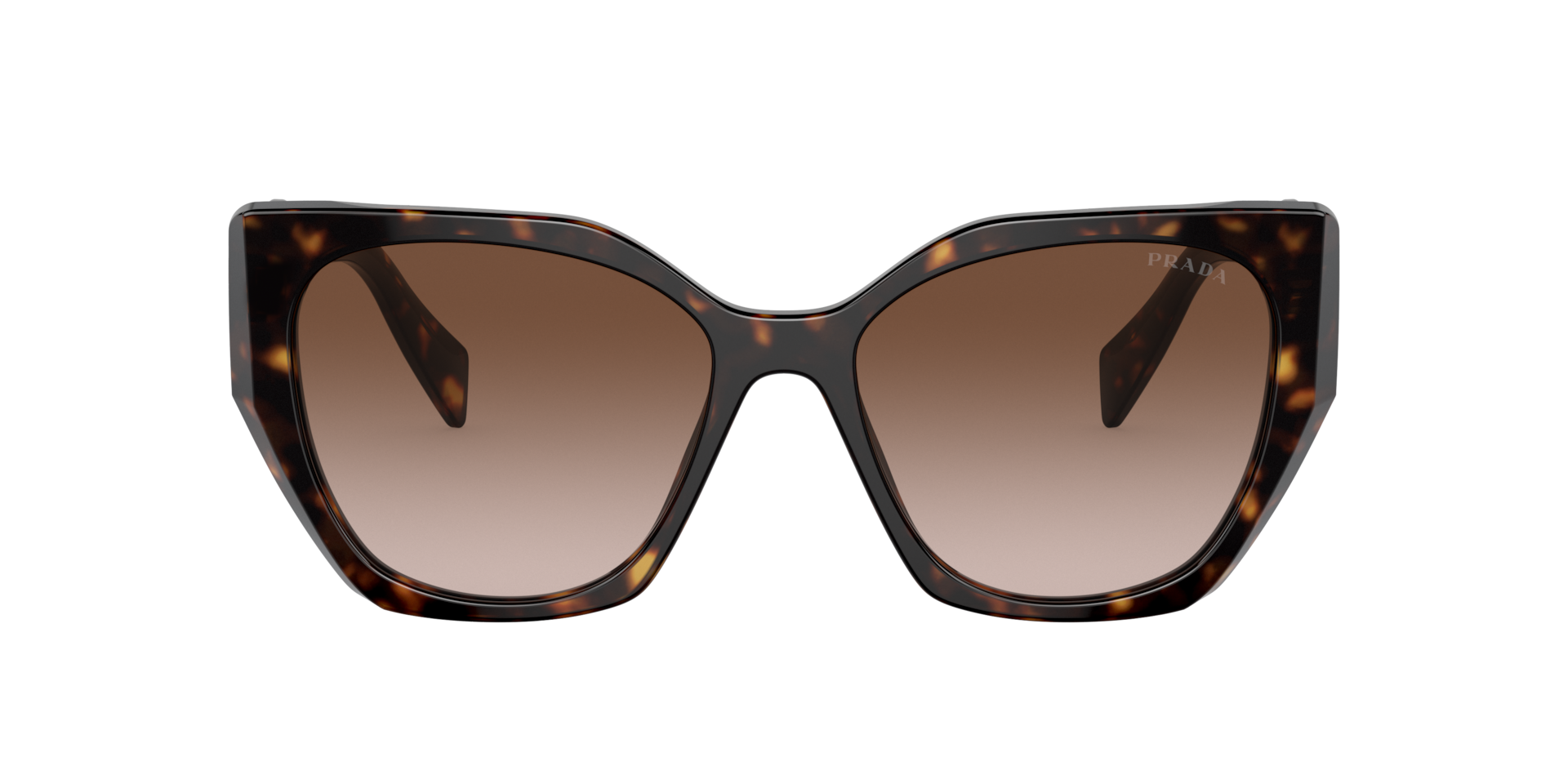 Prada PR 19ZS M (55 - 17) with Brown lenses and Tortoise frame