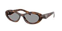 Prada PR 26ZS M (55 - 16) with Brown lenses and Tortoise frame