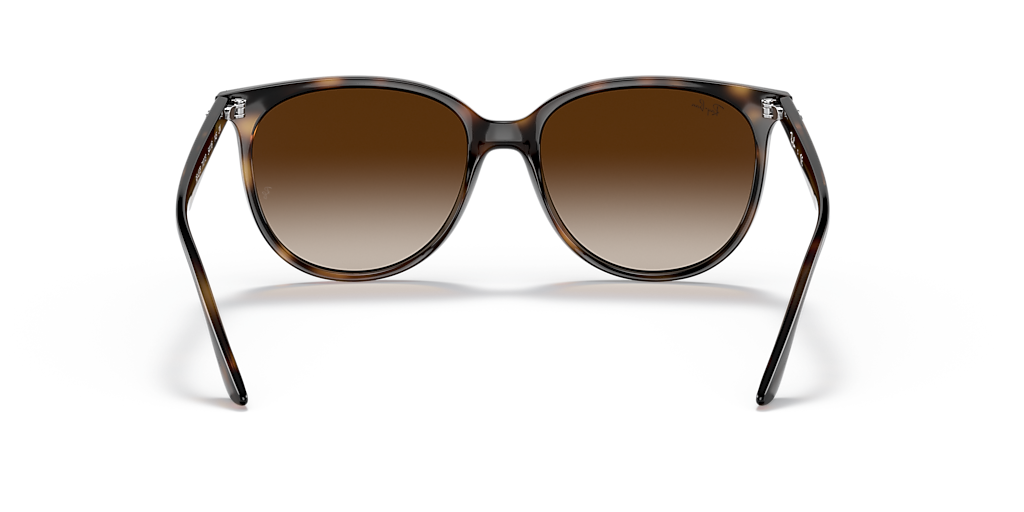 Ray-Ban RB4378 S (54 - 16) with Brown lenses and Tortoise  display picture 3