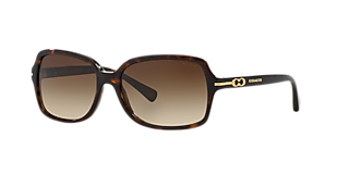 Coach L149 S (57 - 16) with Brown lenses and Black frame