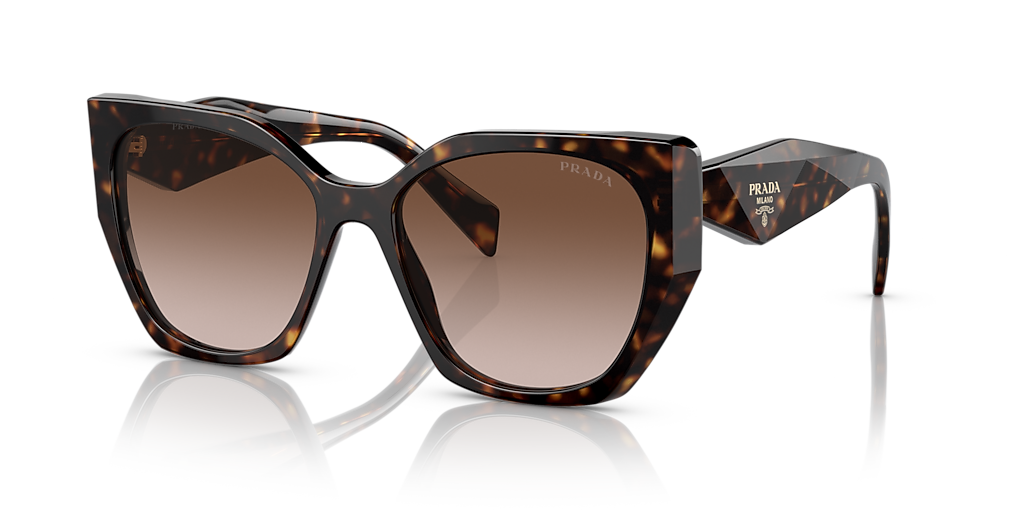 Prada PR 19ZS M (55 - 17) with Brown lenses and Tortoise frame
