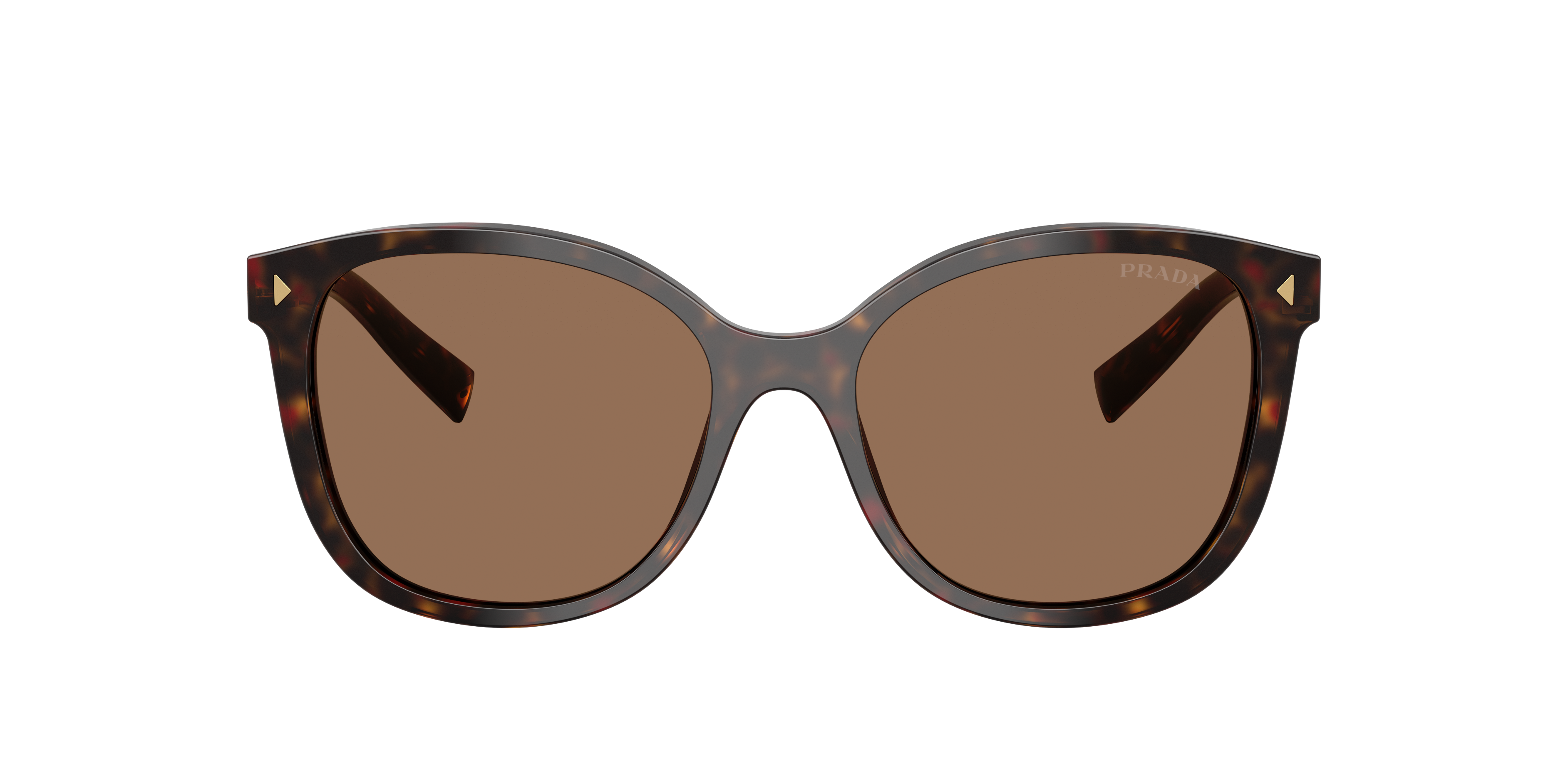 Prada PR 22ZSF M (55 - 16) with Brown lenses and Tortoise frame