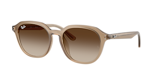 Ray-Ban Round Metal L (53 - 21) with Black lenses and Gold frame