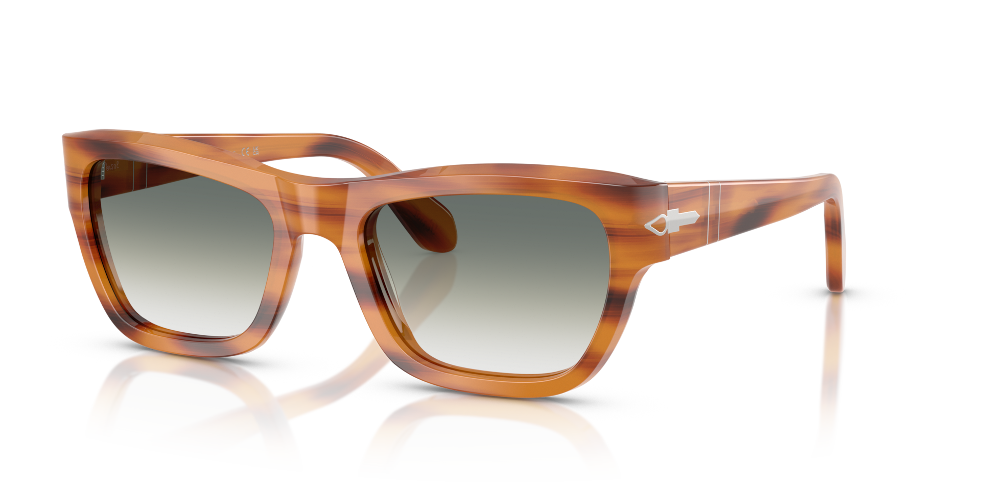 PO0091S