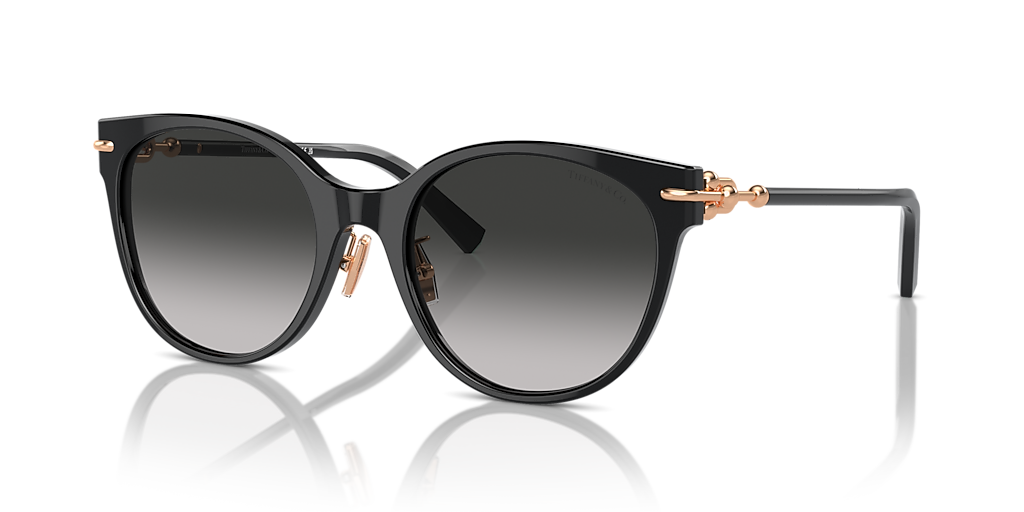 Tiffany & Co. TF4223D XL (54 - 20) with Grey lenses and Black