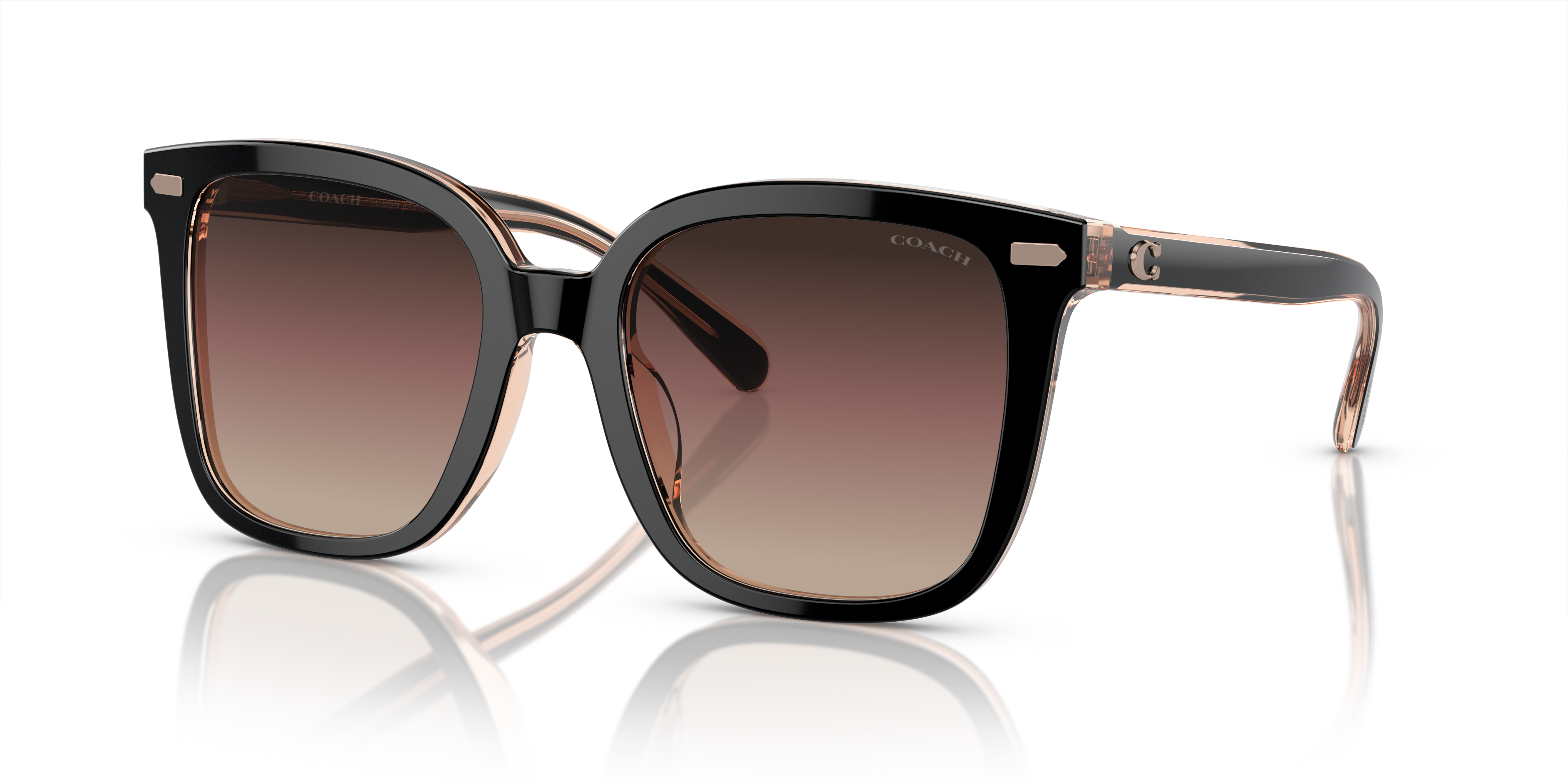 Coach HC8381F CL919 XL (56 - 19) with Violet lenses and Black