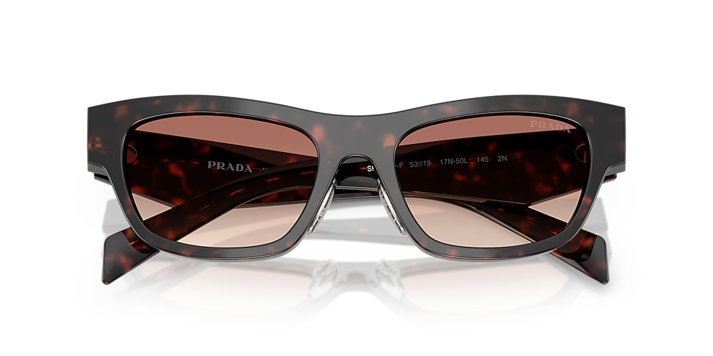 Prada PR B09SF M (53 - 19) with Brown lenses and Tortoise frame