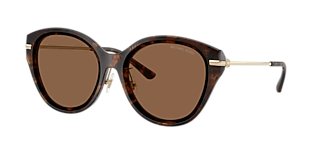 Michael Kors Tianjin XL (59 - 16) with Brown lenses and Tortoise