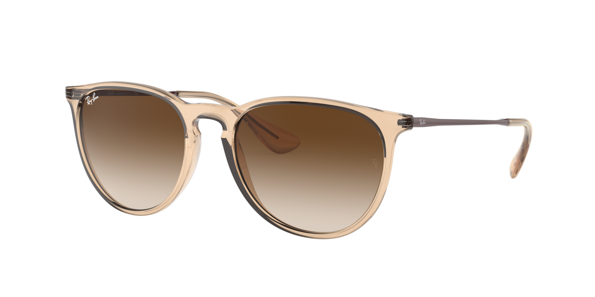 Ray-Ban Erika Color Mix M (54 - 18) with Brown lenses and Brown