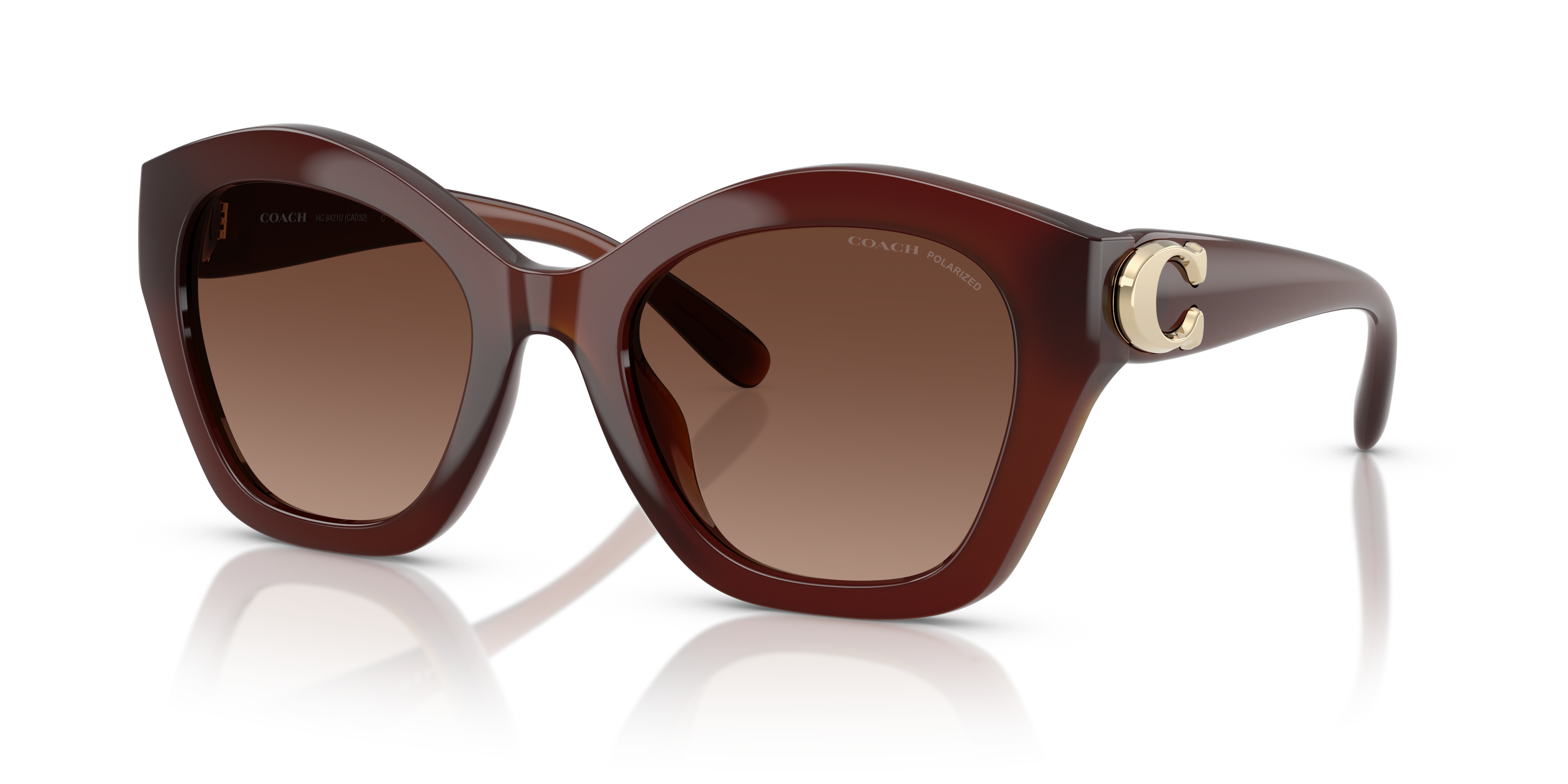 Coach CAD31 L (54 - 22) with Brown lenses and Brown frame