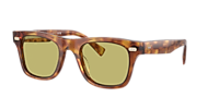 Brunello Cucinelli BC4002S Mr.Brunello L (53 - 22) with Grey