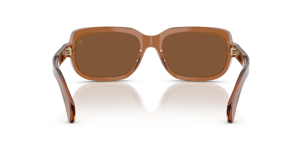 Moncler ME6008 Suntrap M (55 - 18) with Brown lenses and Orange