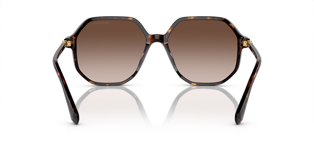 Swarovski SK6003 XL (57 - 16) with Brown lenses and Tortoise frame