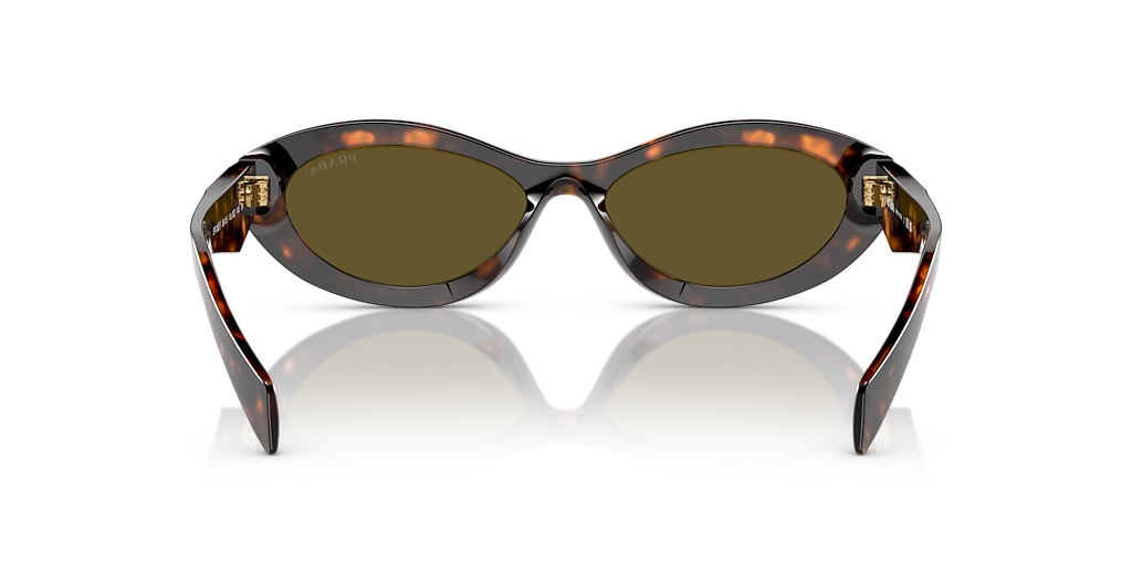 Prada PR 26ZSF L (56 - 15) with Brown lenses and Green frame